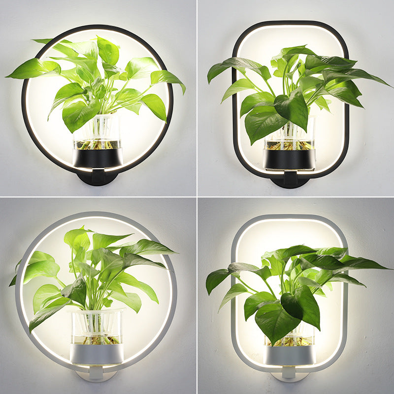 Nordelle | Wall Planter Lamp With Glass Plant Cup And Ambient Glow
