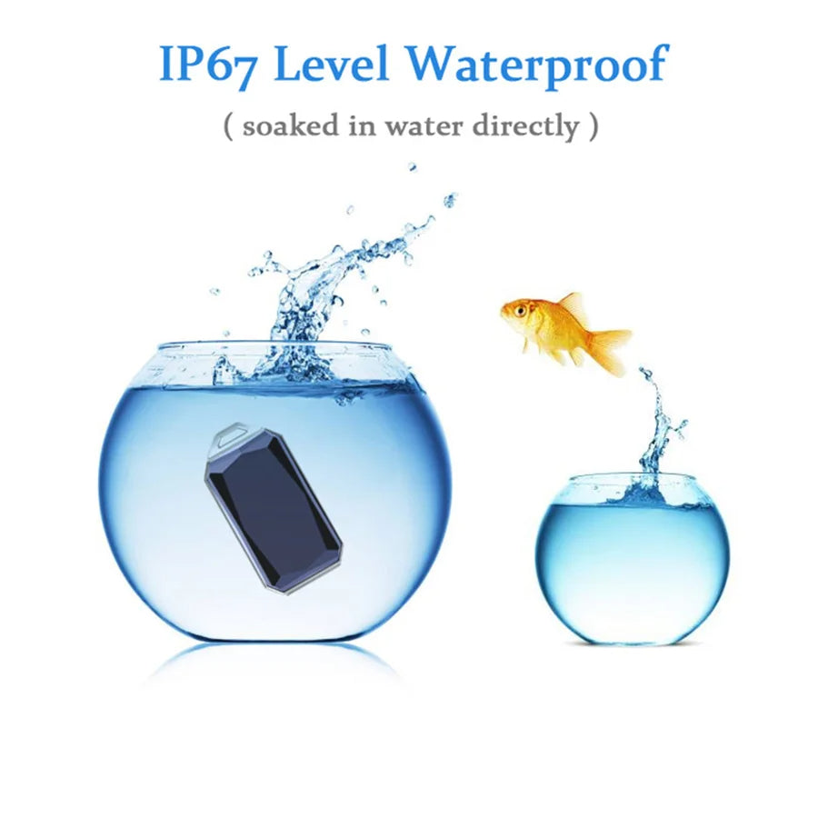 GPS obojek pro sledování domácích mazlíčků