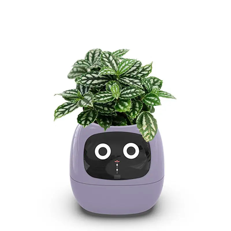 Smart Sensors Planter - 7 Smart Sensors, and Ai Chips Make Raising Plants Easy and Fun for Living Room