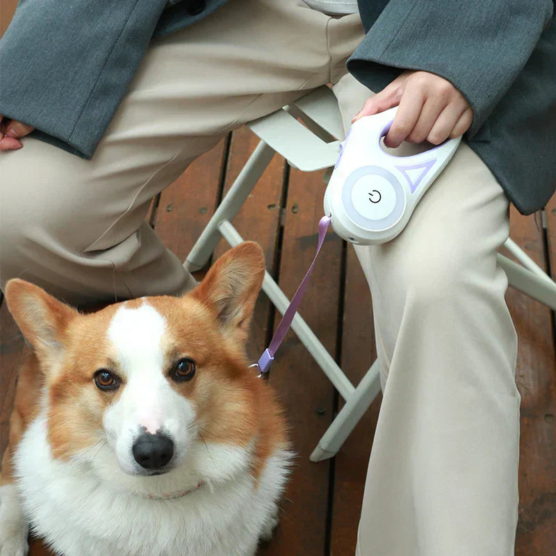 Mydogfirst - LED dog leash
