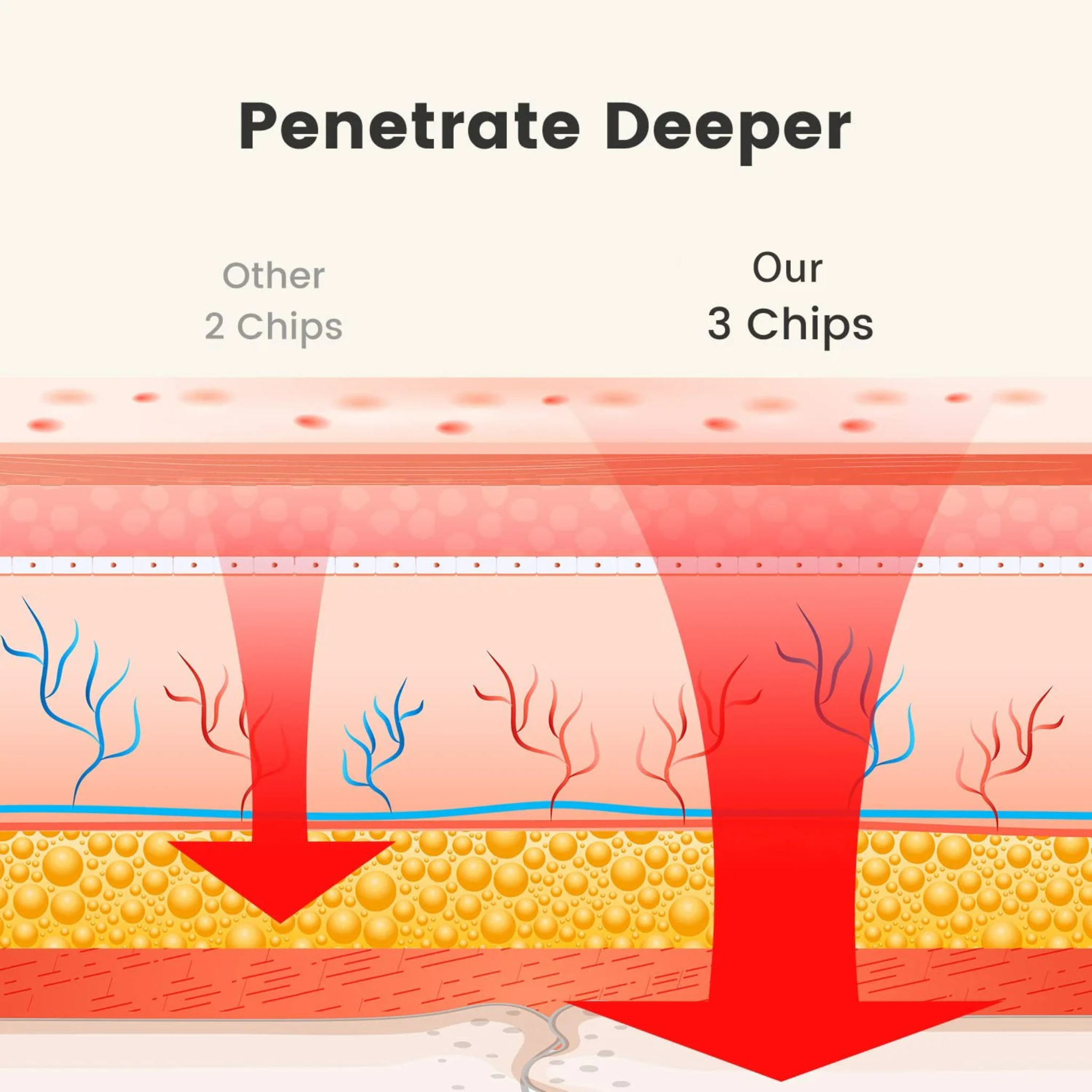 Red Light Therapy Belt