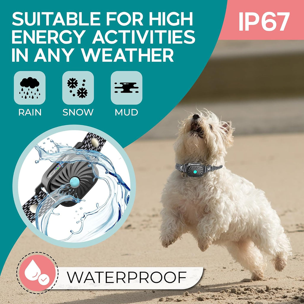 CANINECARE - Collier Anti-Aboiement BarkEase | Pour petits chiens