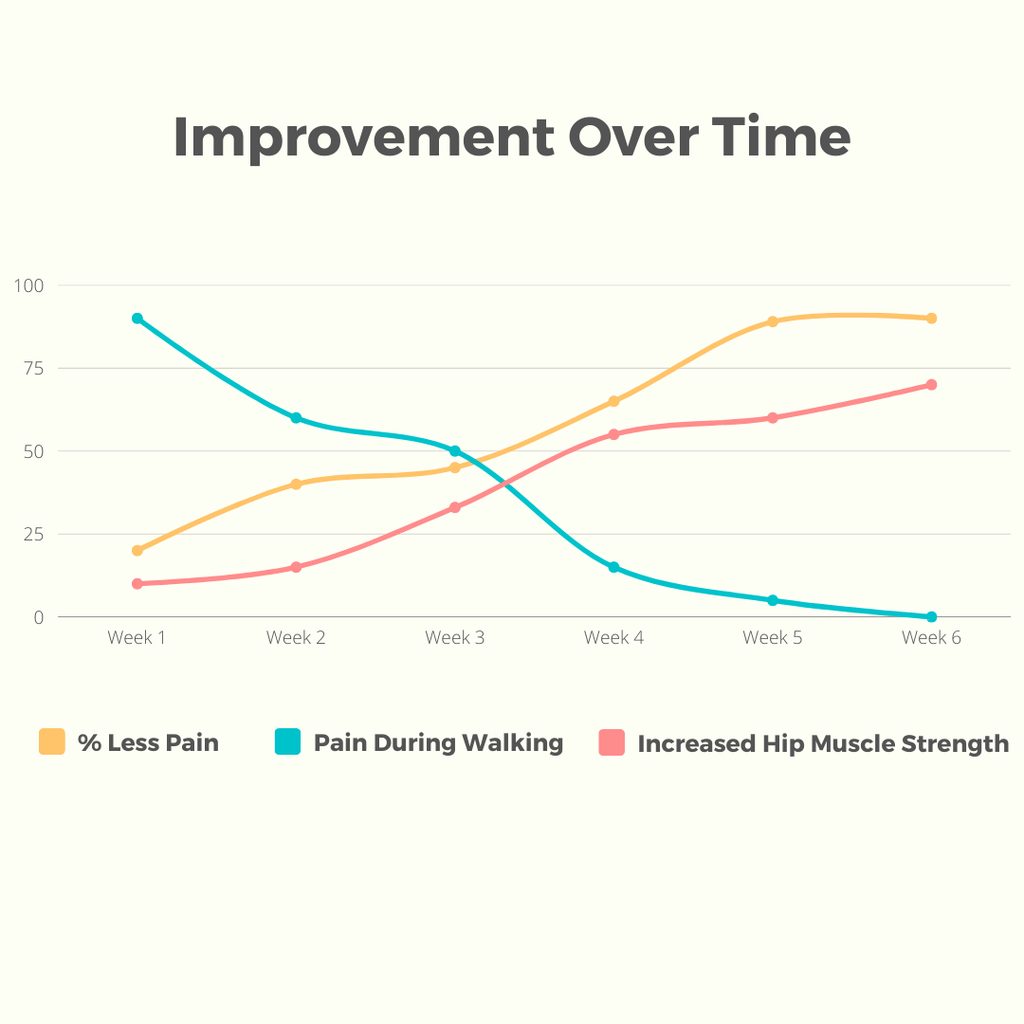 Penstabil Pinggul Ortopedik