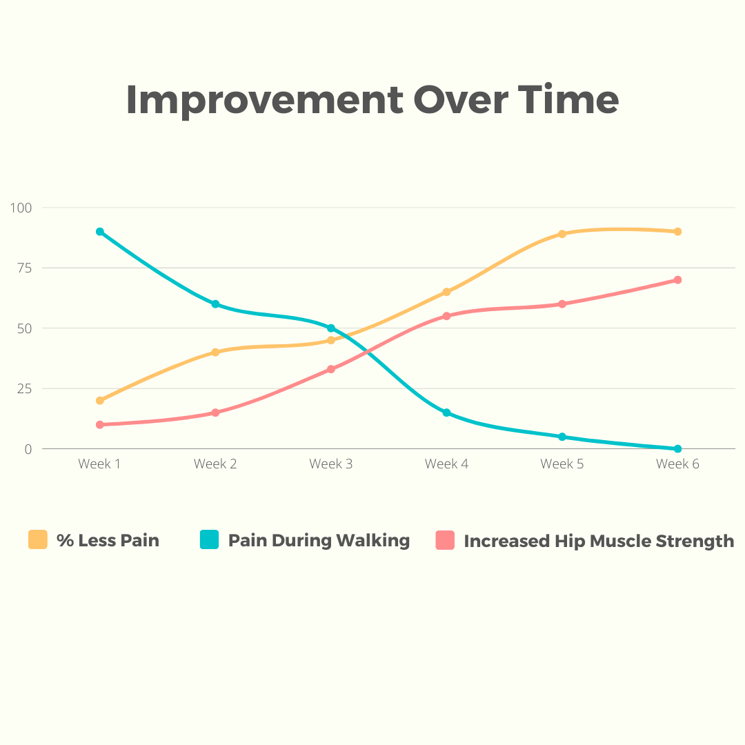 Penstabil Pinggul Ortopedik