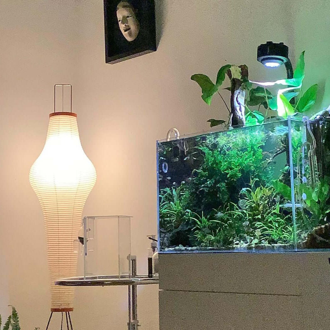 Hikaru – Rispapir Gulvlampe