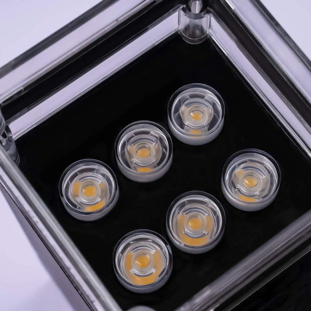 NovaLume Wall Torch Light For Indoors And Outdoors