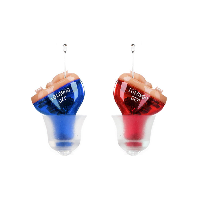 CIC Digital Hearing Aid With Noise Cancellation