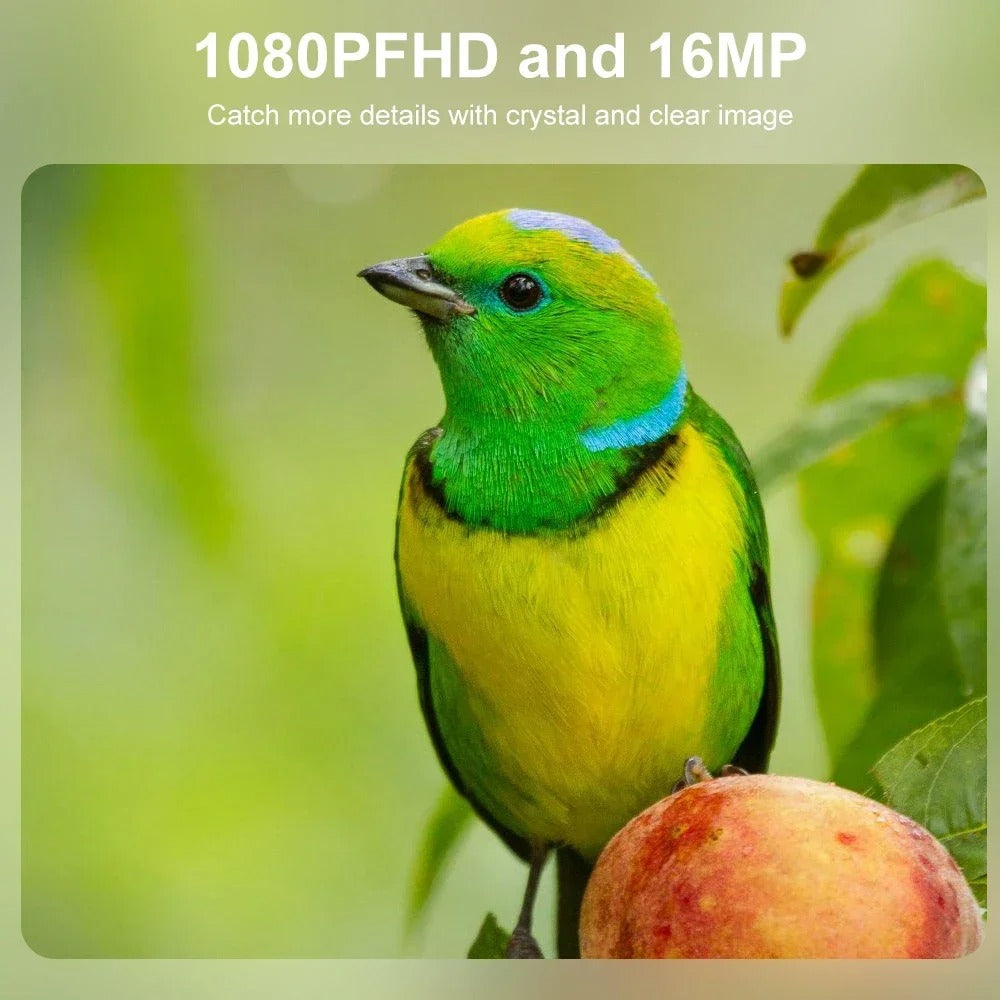 Mini HD lovecká kamera s infračerveným nočním viděním – vodotěsná stopovací kamera