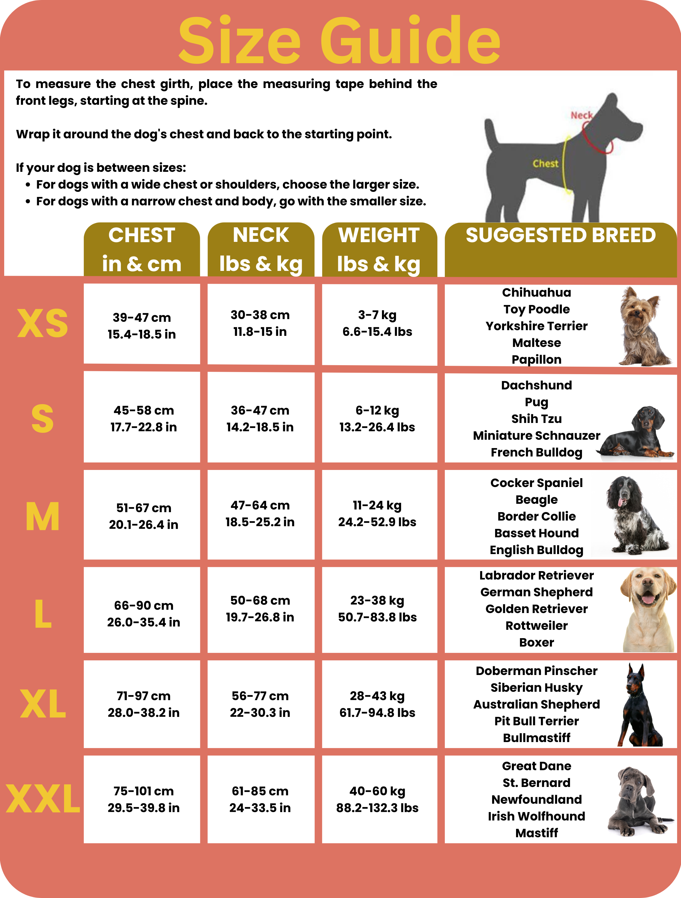 Personalized No Pull Dog Harness