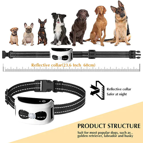 2-in-1 Wireless Dog Fence & Outdoor Training Collar