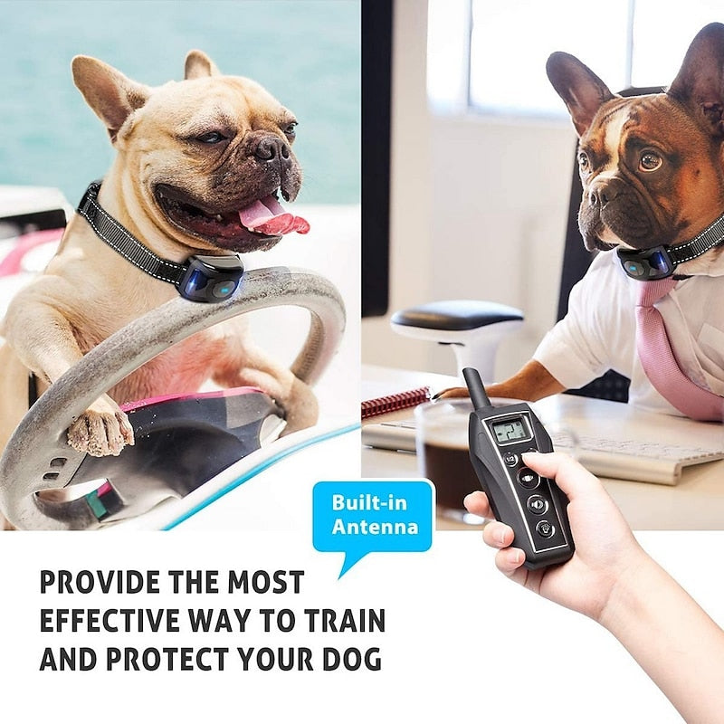 Pawfey No Shock Hundetreningskrage med Fjernkontroll