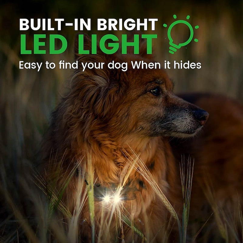 Premium hundetreningskrage med lommelykt