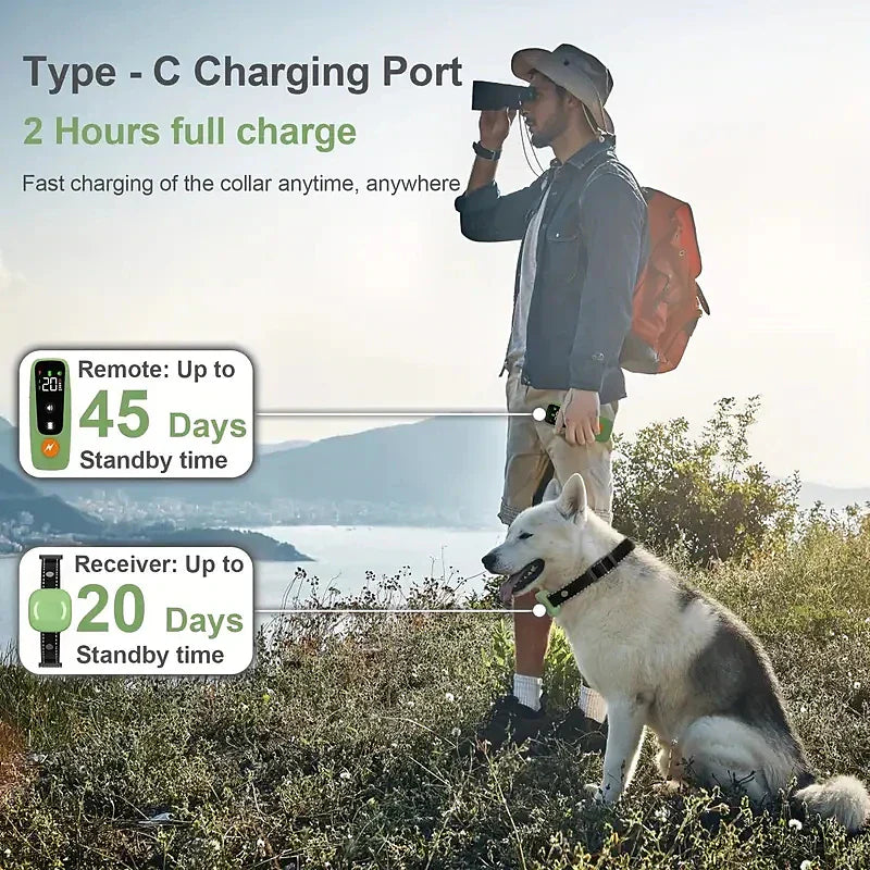 Elektrisk treningshalsbånd for kjæledyrhund, med pipelyd og vibrasjon, med vanntett mottaker