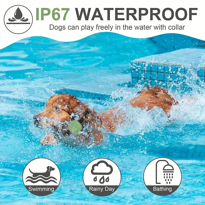 Elektrisk treningshalsbånd for kjæledyrhund, med pipelyd og vibrasjon, med vanntett mottaker