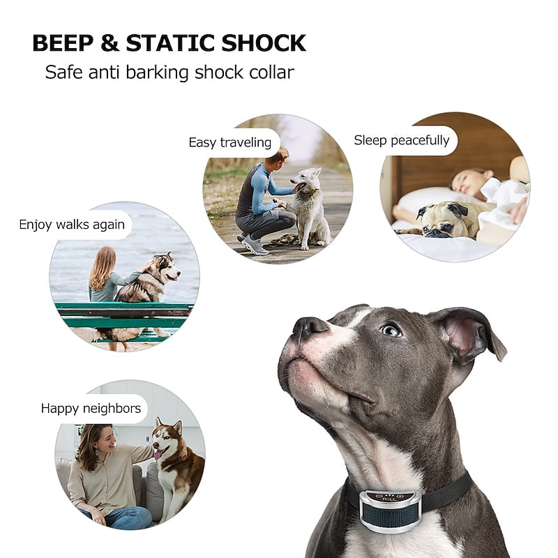 PetJoy oppladbart ant-bjeff hundehalsbånd