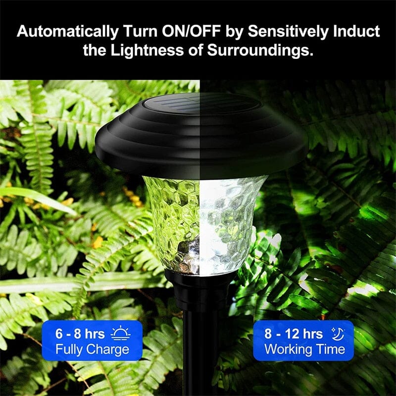 NovaRay Solar LED Lights for Pathways Decks and Gardens