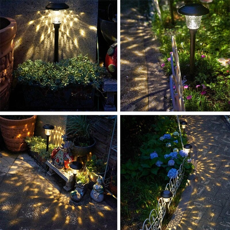 NovaRay Solar LED Lights for Pathways Decks and Gardens