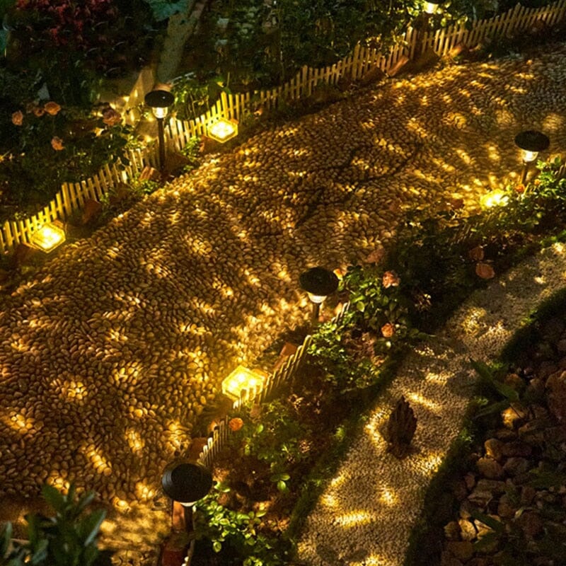 NovaRay Solar LED Lights for Pathways Decks and Gardens
