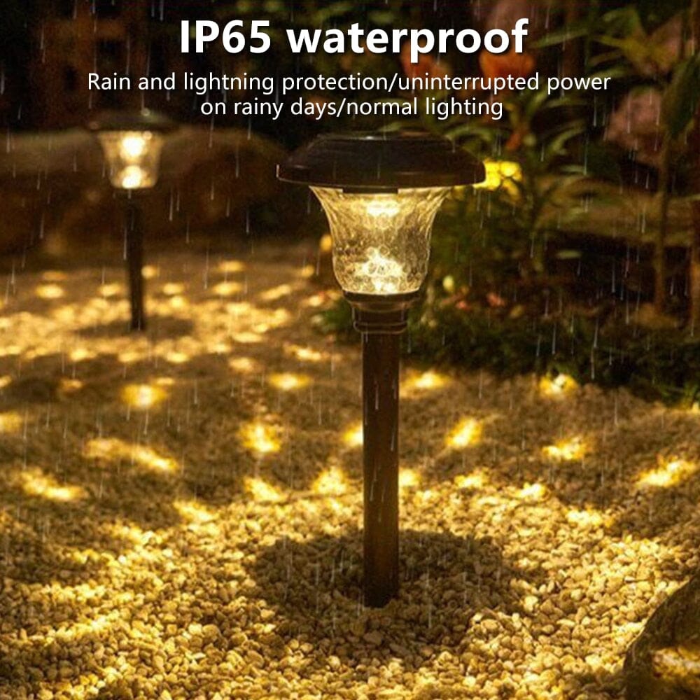NovaRay Solar LED Lights for Pathways Decks and Gardens