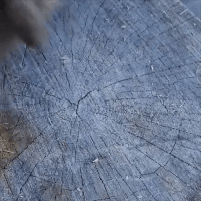 SplitKing™ | Pemecah Kayu Ideal