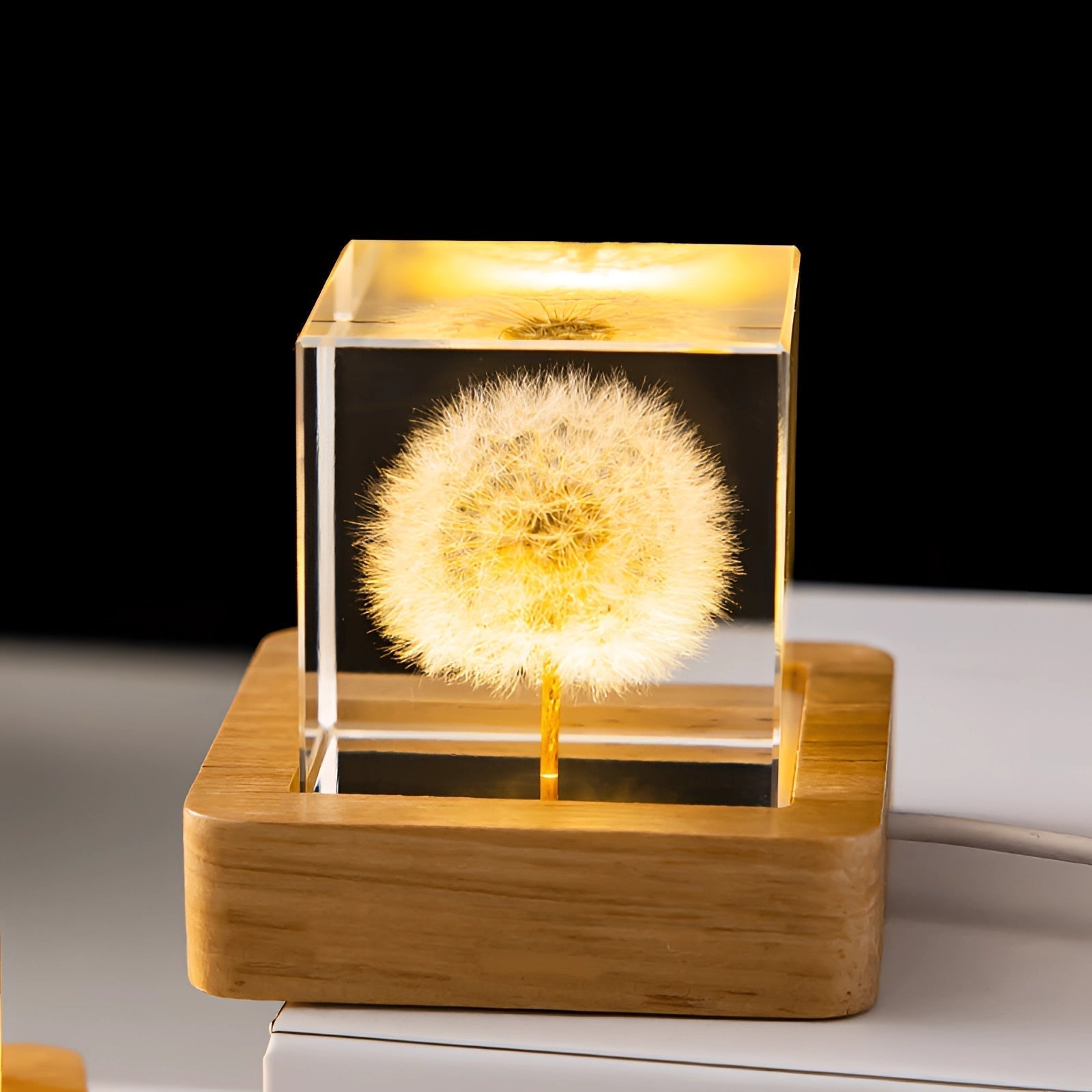 AuroraLeaf Dandelion Resin Night Light With LED Wooden Base