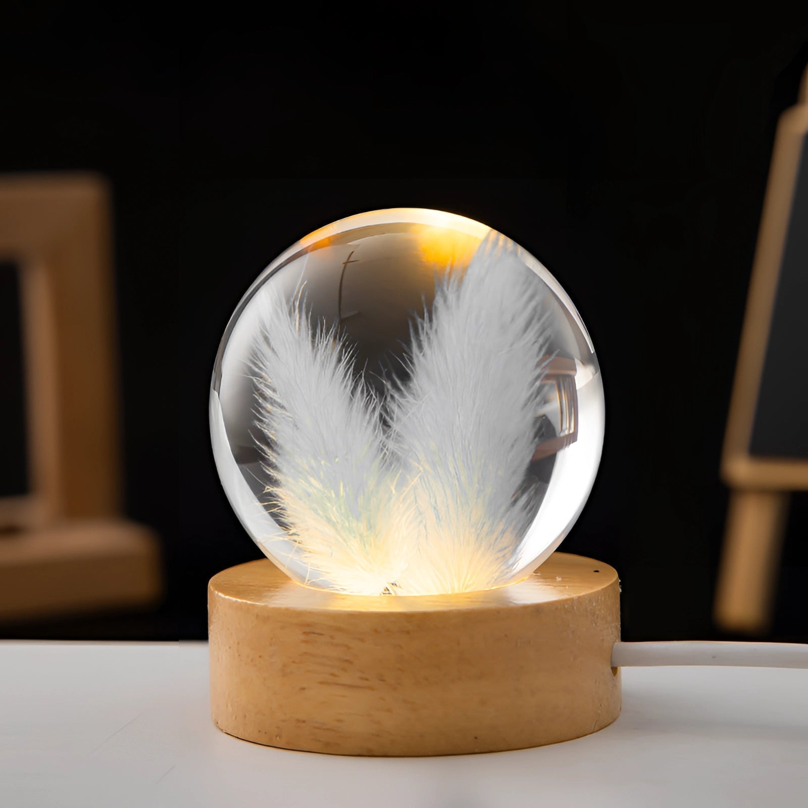 AuroraLeaf Dandelion Resin Night Light With LED Wooden Base