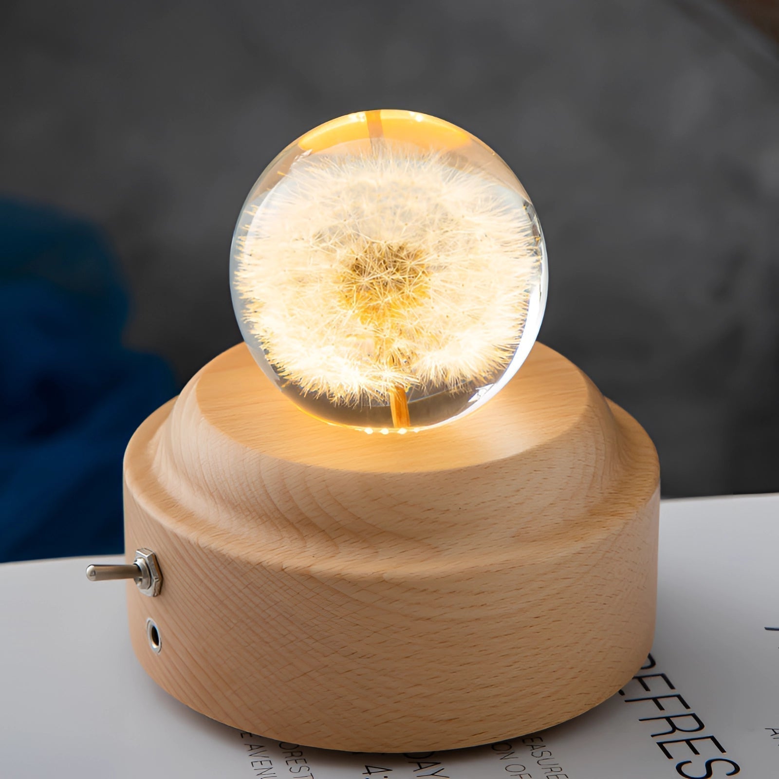 AuroraLeaf Dandelion Resin Night Light With LED Wooden Base