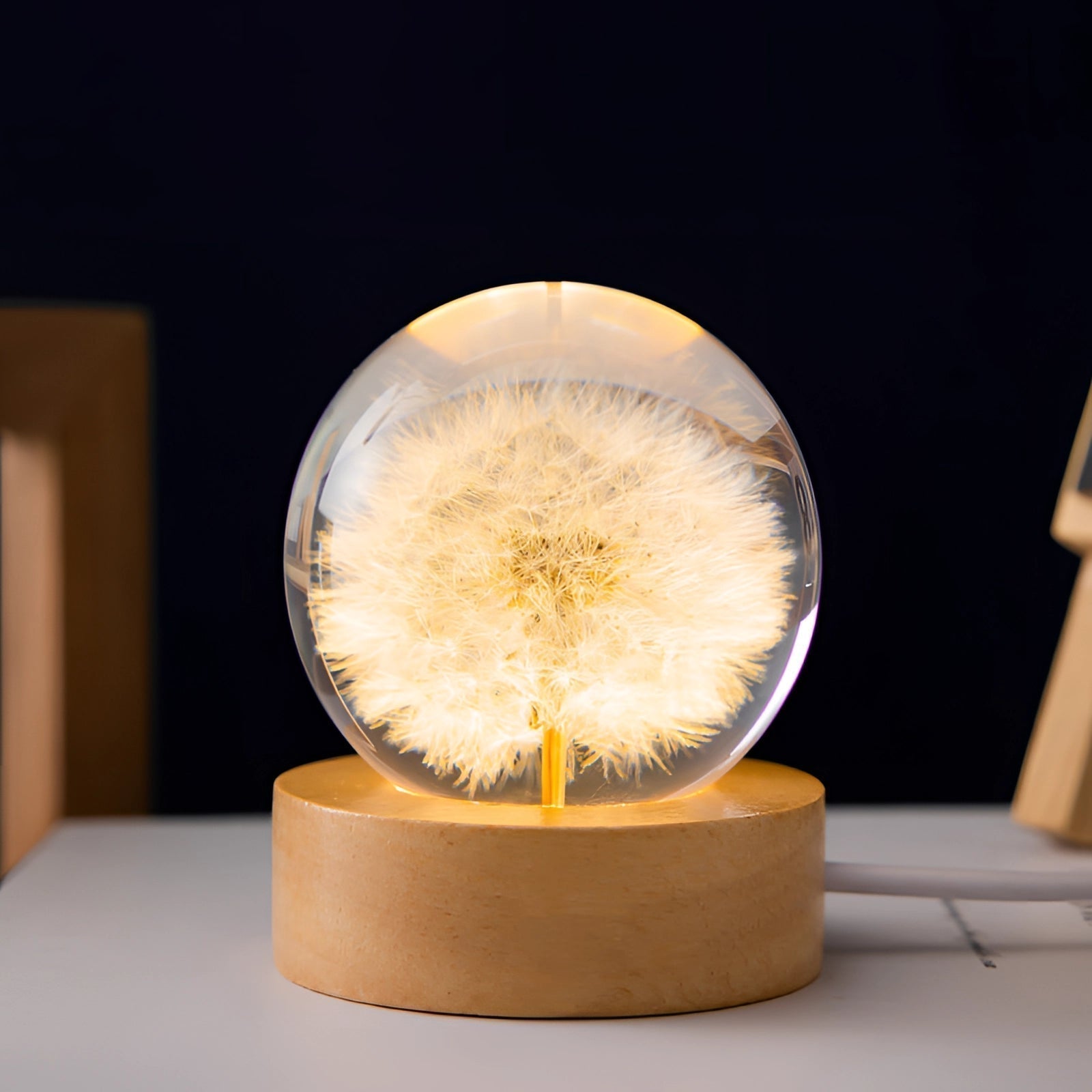 AuroraLeaf Dandelion Resin Night Light With LED Wooden Base