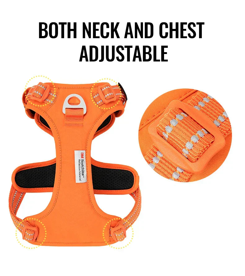 True Love No-Pull Nylon Reflective Dog Harness