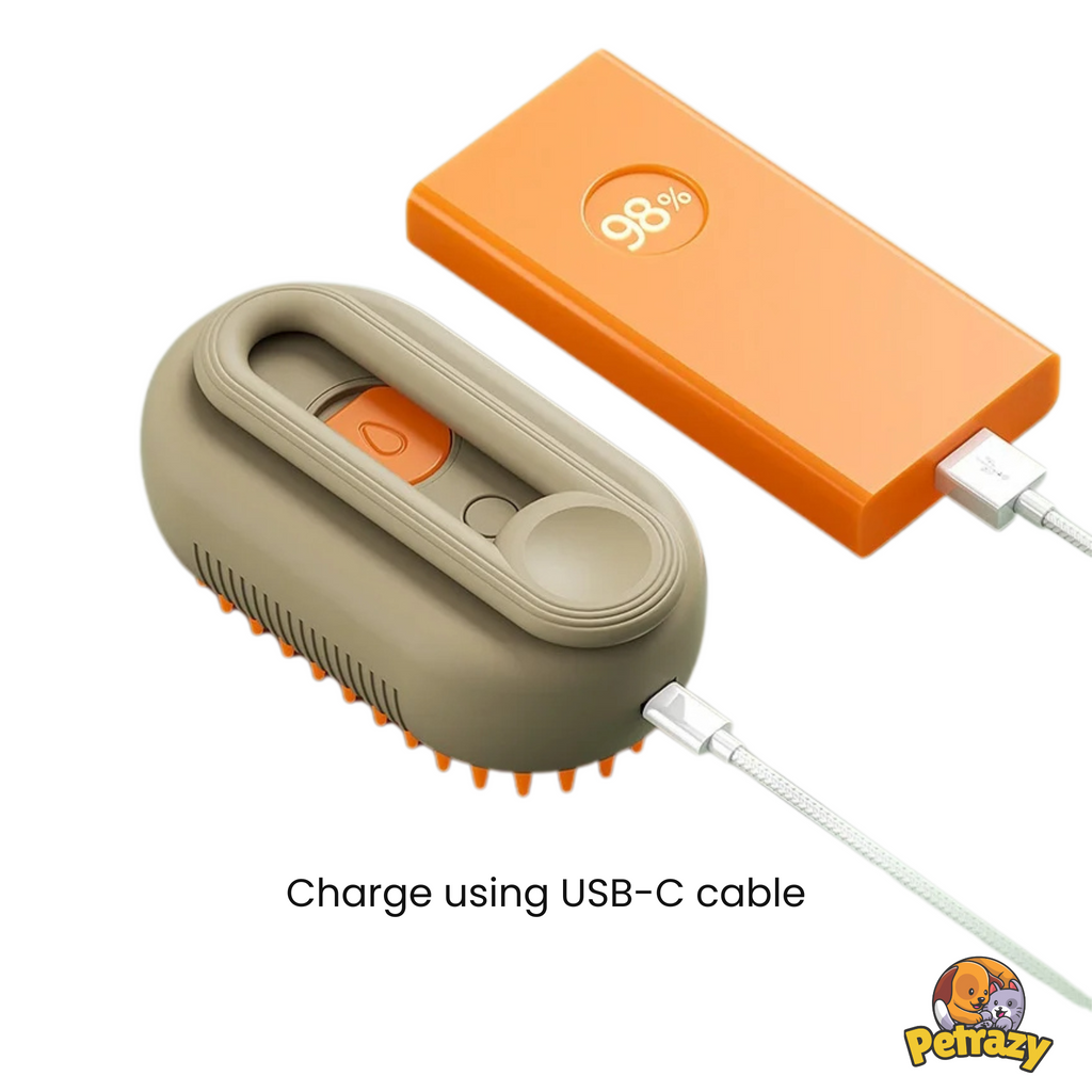 Pet Steam Brush