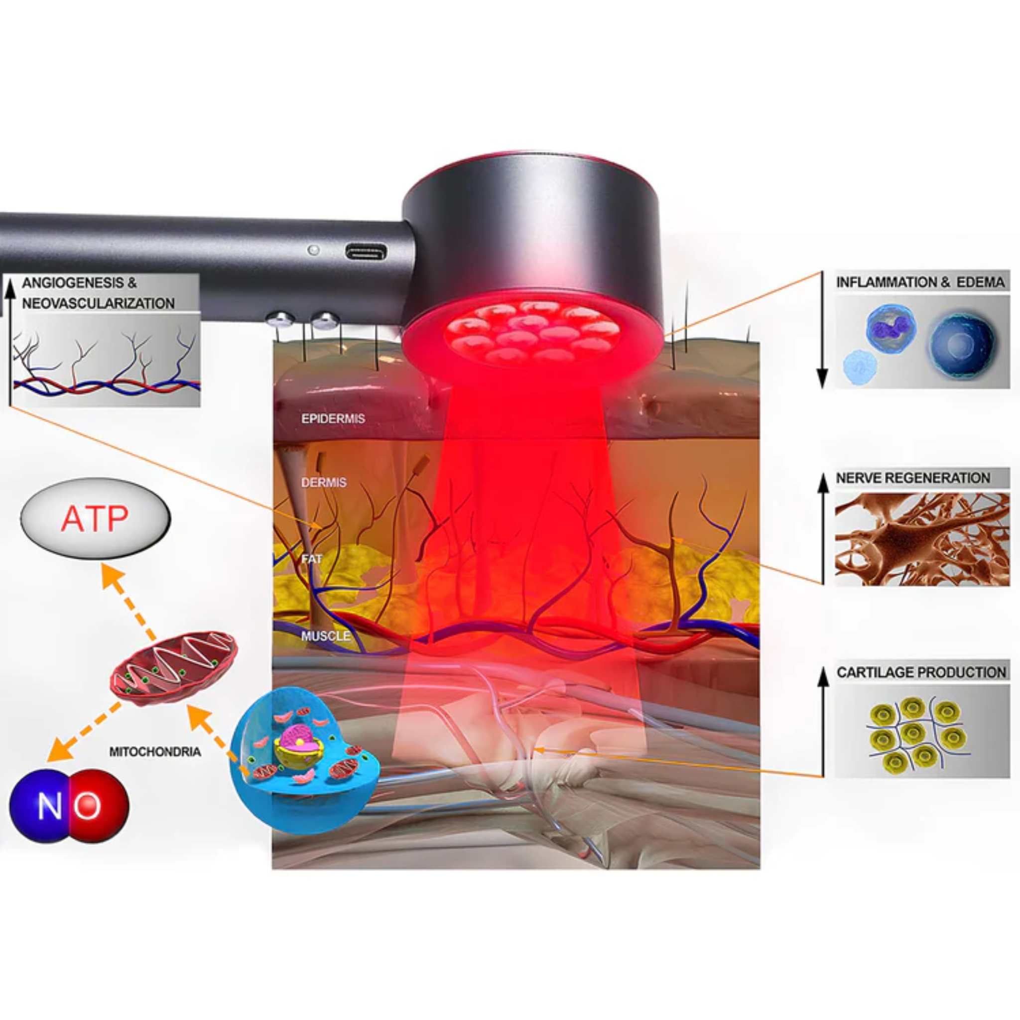 Red and Blue Light Therapy Handheld Device Best At Home Low-level laser therapy