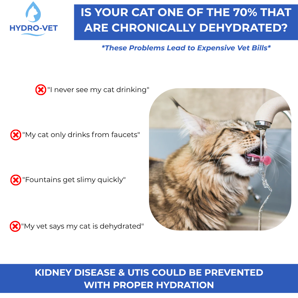 Whisper-Quiet Cat Water Fountain with Vet-Grade Technology – Easy to Clean, Compact Design for All Pets