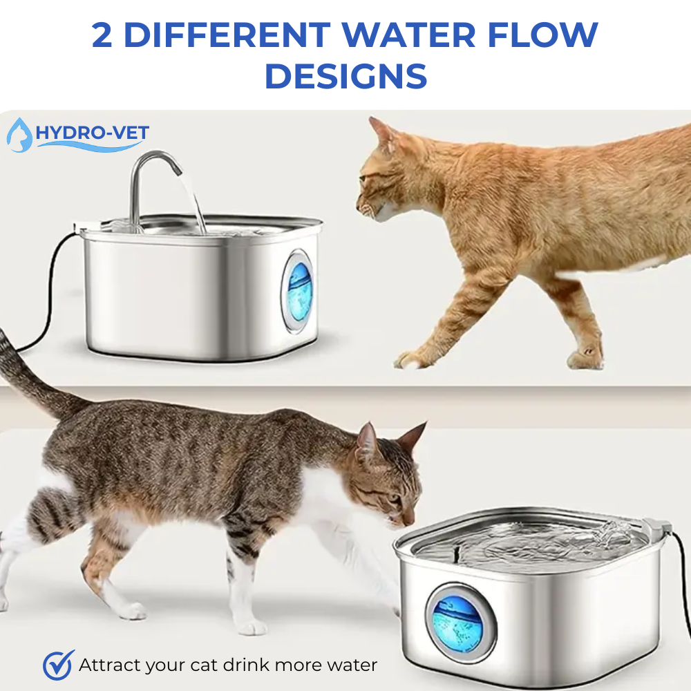 Whisper-Quiet Cat Water Fountain with Vet-Grade Technology – Easy to Clean, Compact Design for All Pets