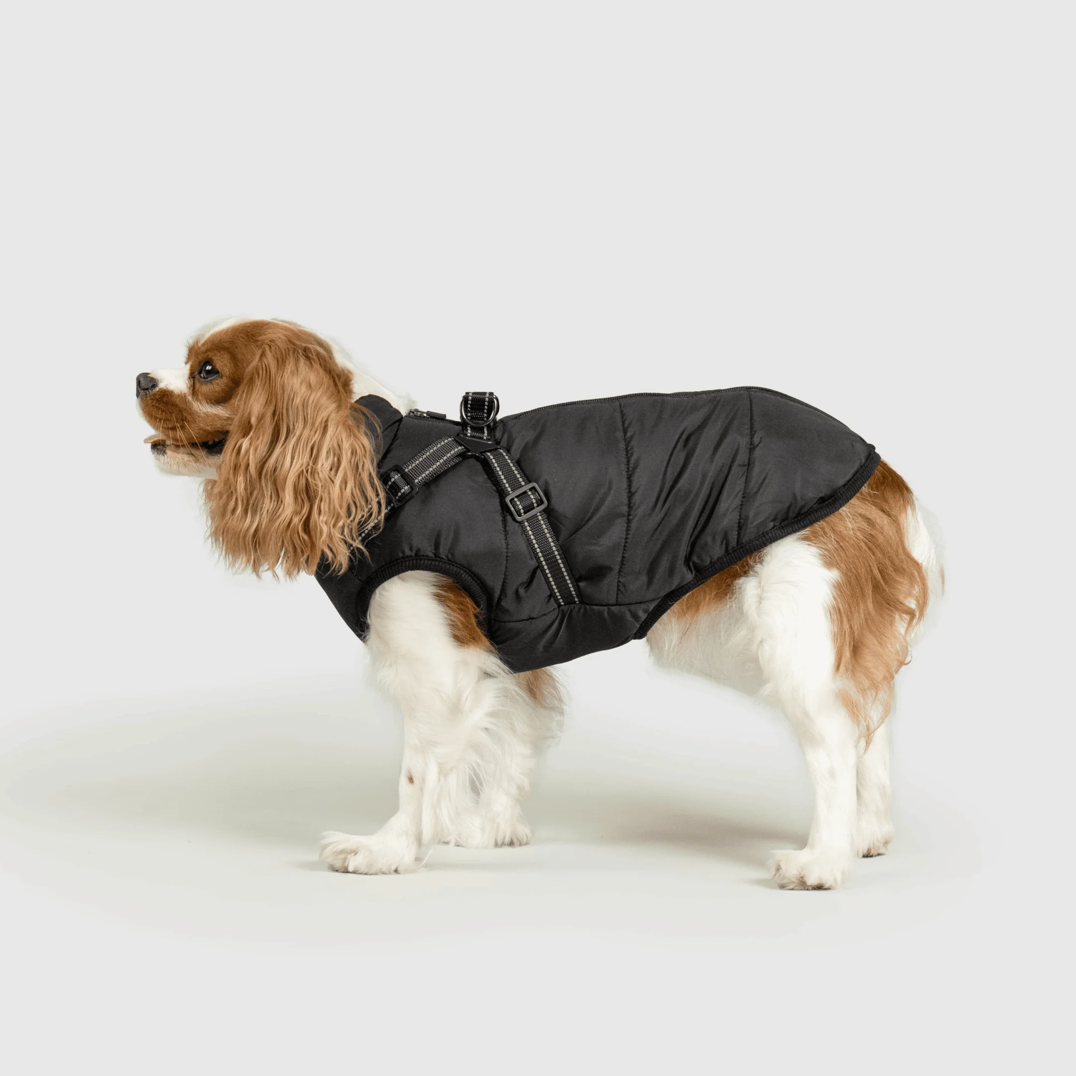 3 in 1 Winter Jacket