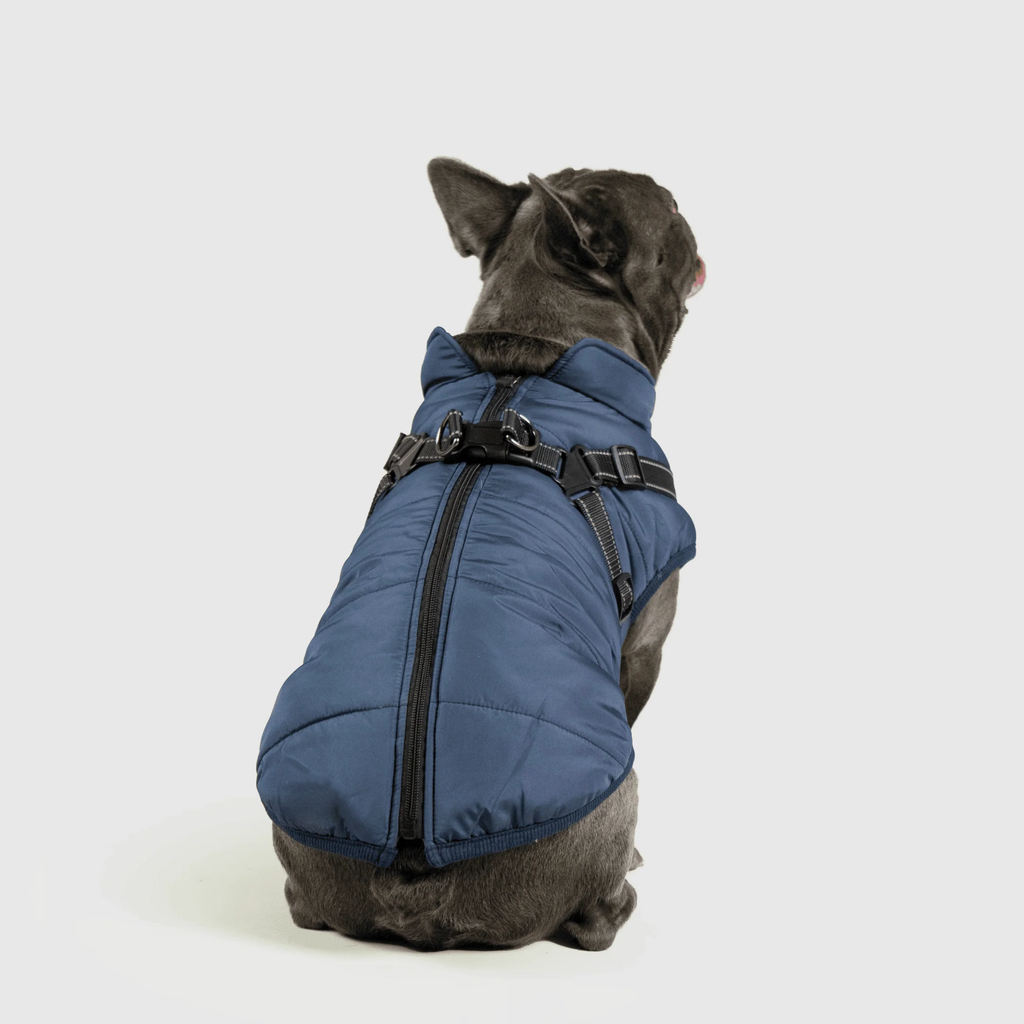 3 in 1 Winter Jacket
