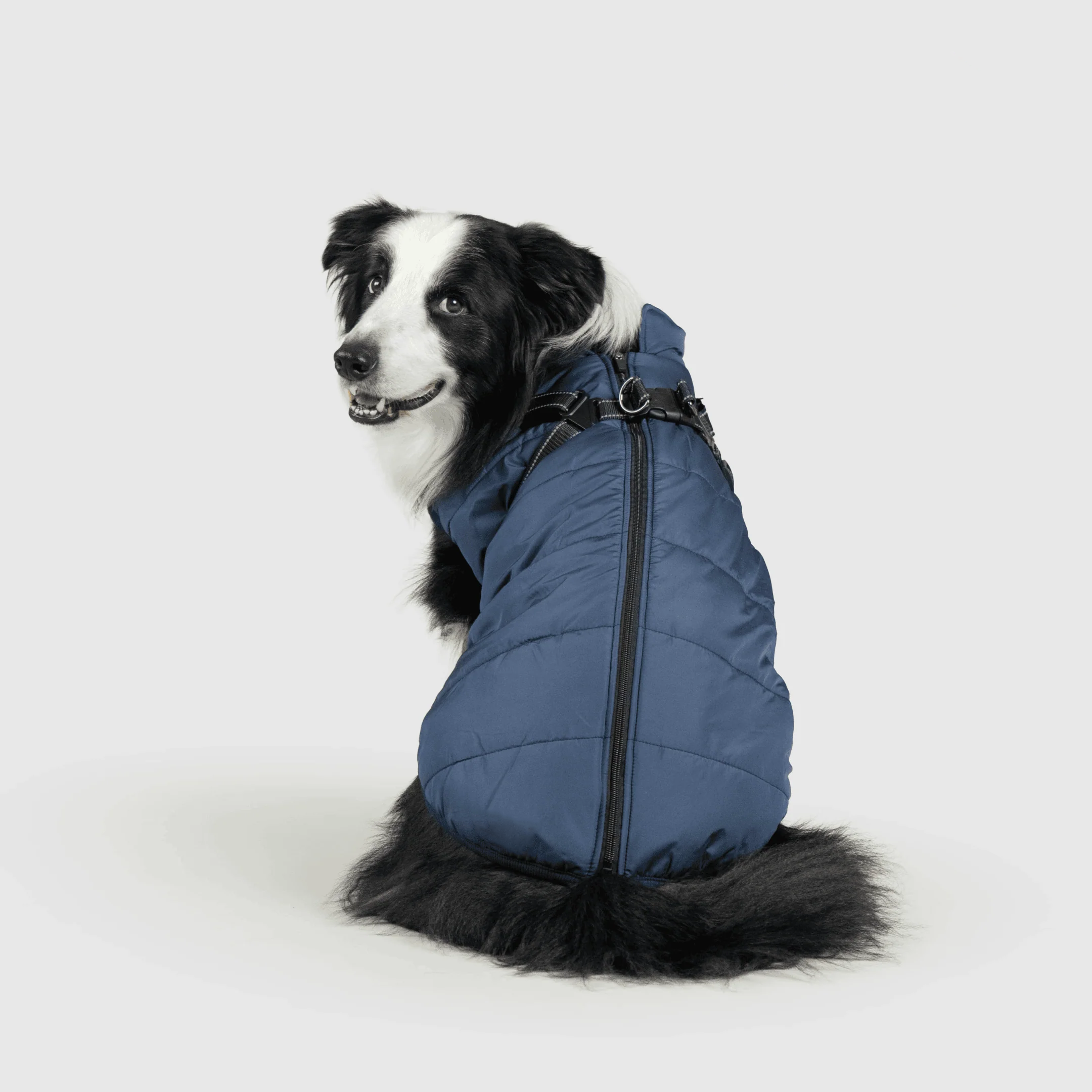 3 in 1 Winter Jacket