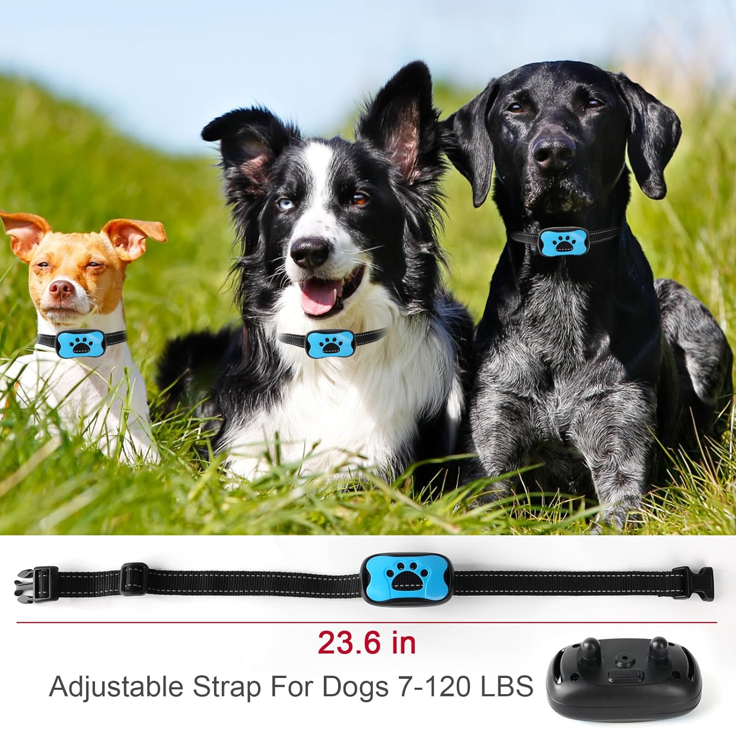 Honden Anti-Blaf Halsband