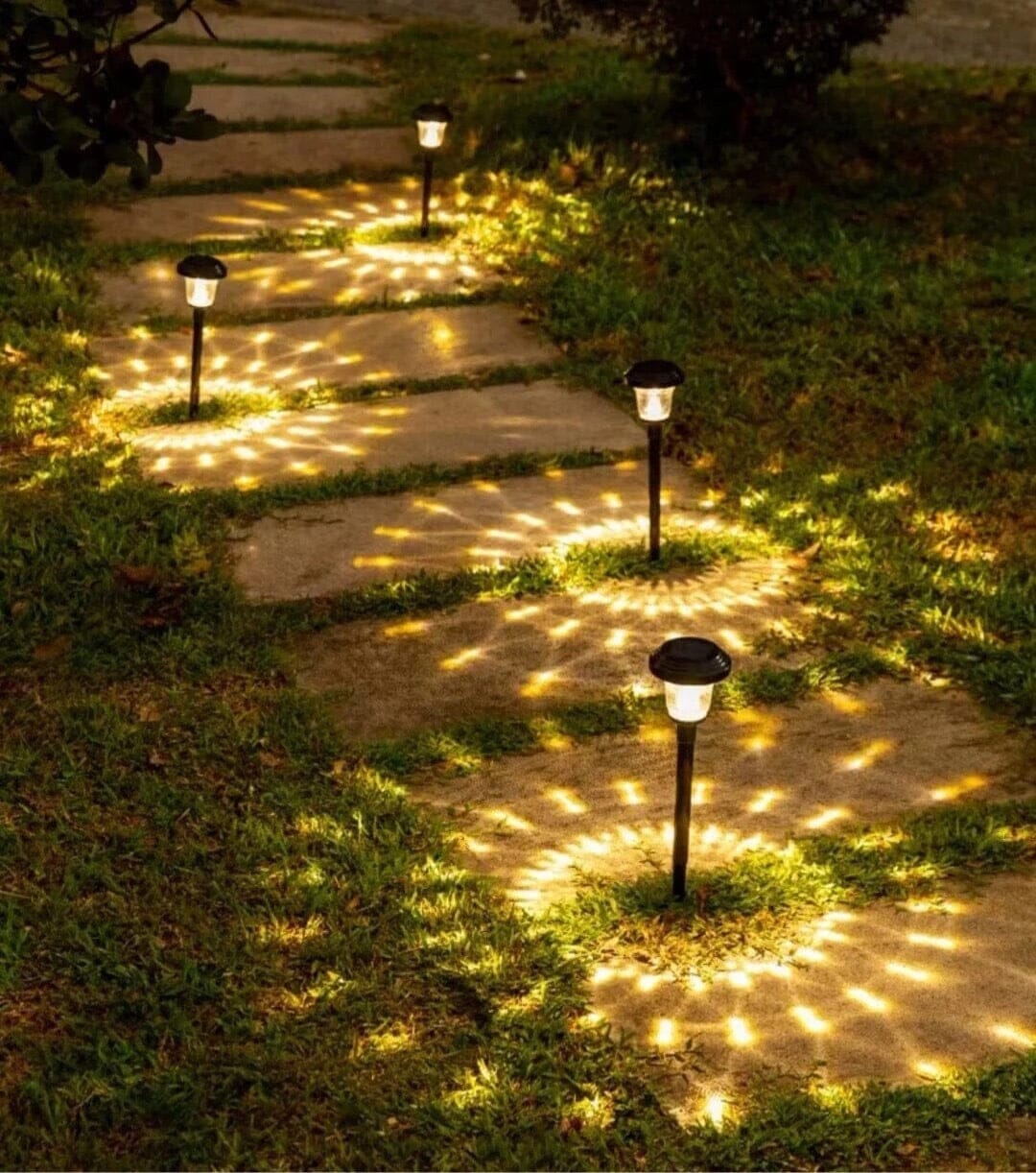NovaRay Solar LED Lights for Pathways Decks and Gardens