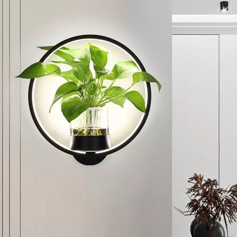 Nordelle | Wall Planter Lamp With Glass Plant Cup And Ambient Glow