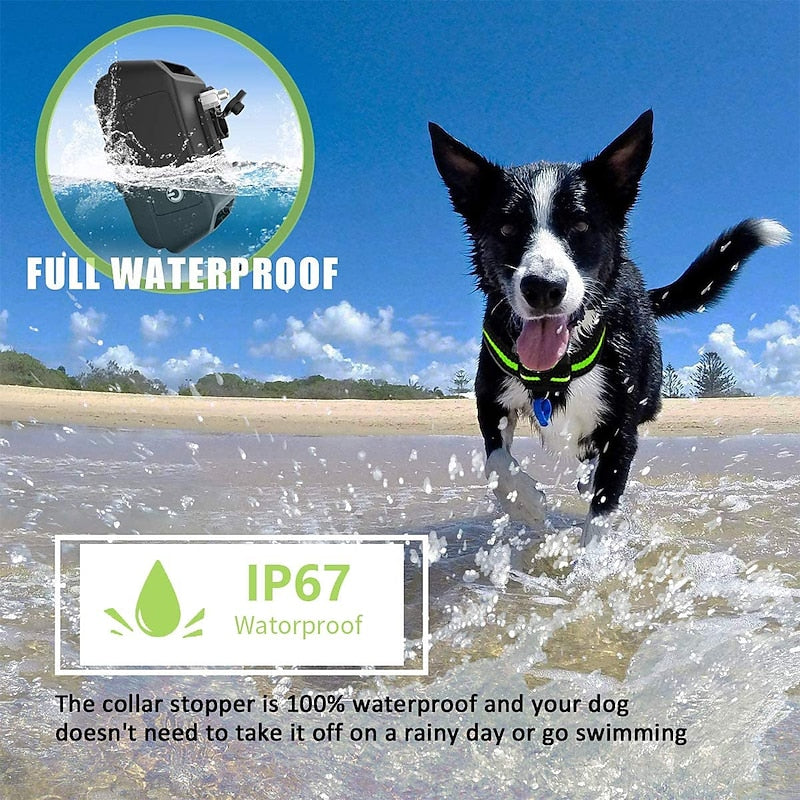 Oppladbart anti-bjeff hundehalsbånd med intelligent støtkontroll