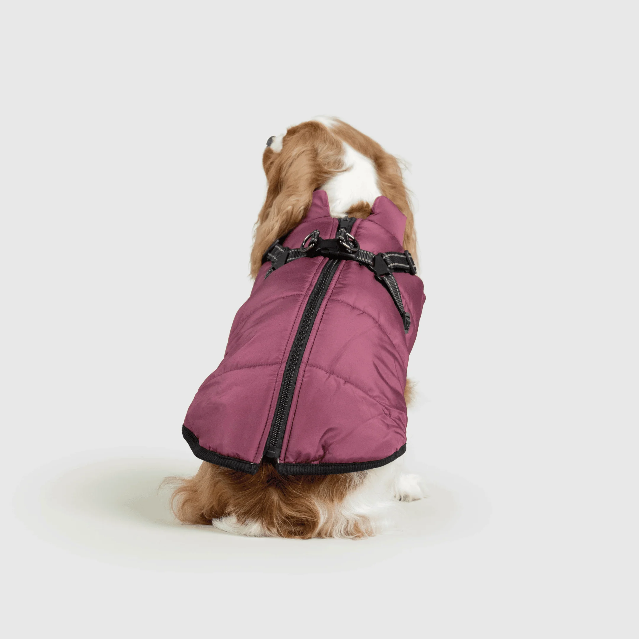 3 in 1 Winter Jacket