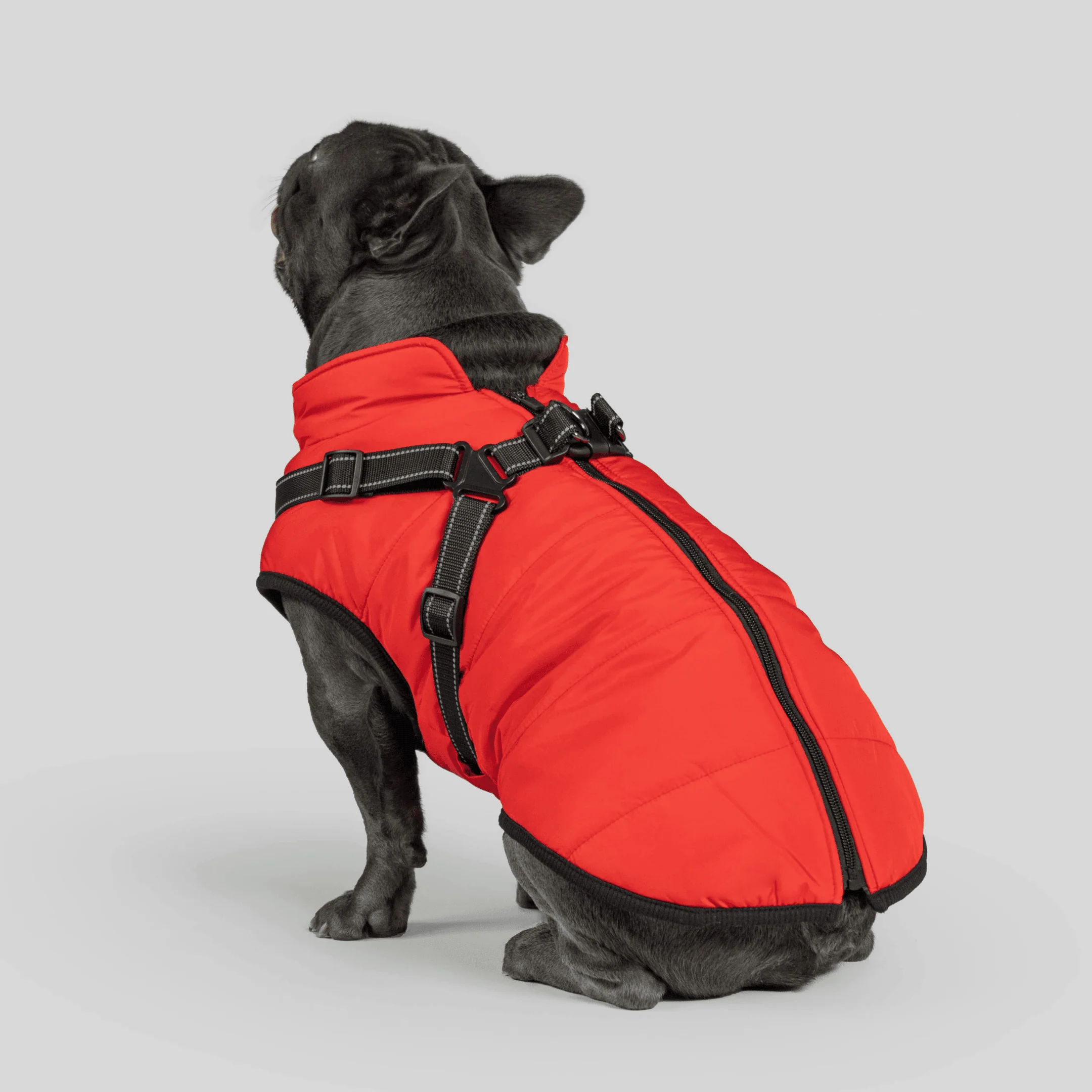 3 in 1 Winter Jacket