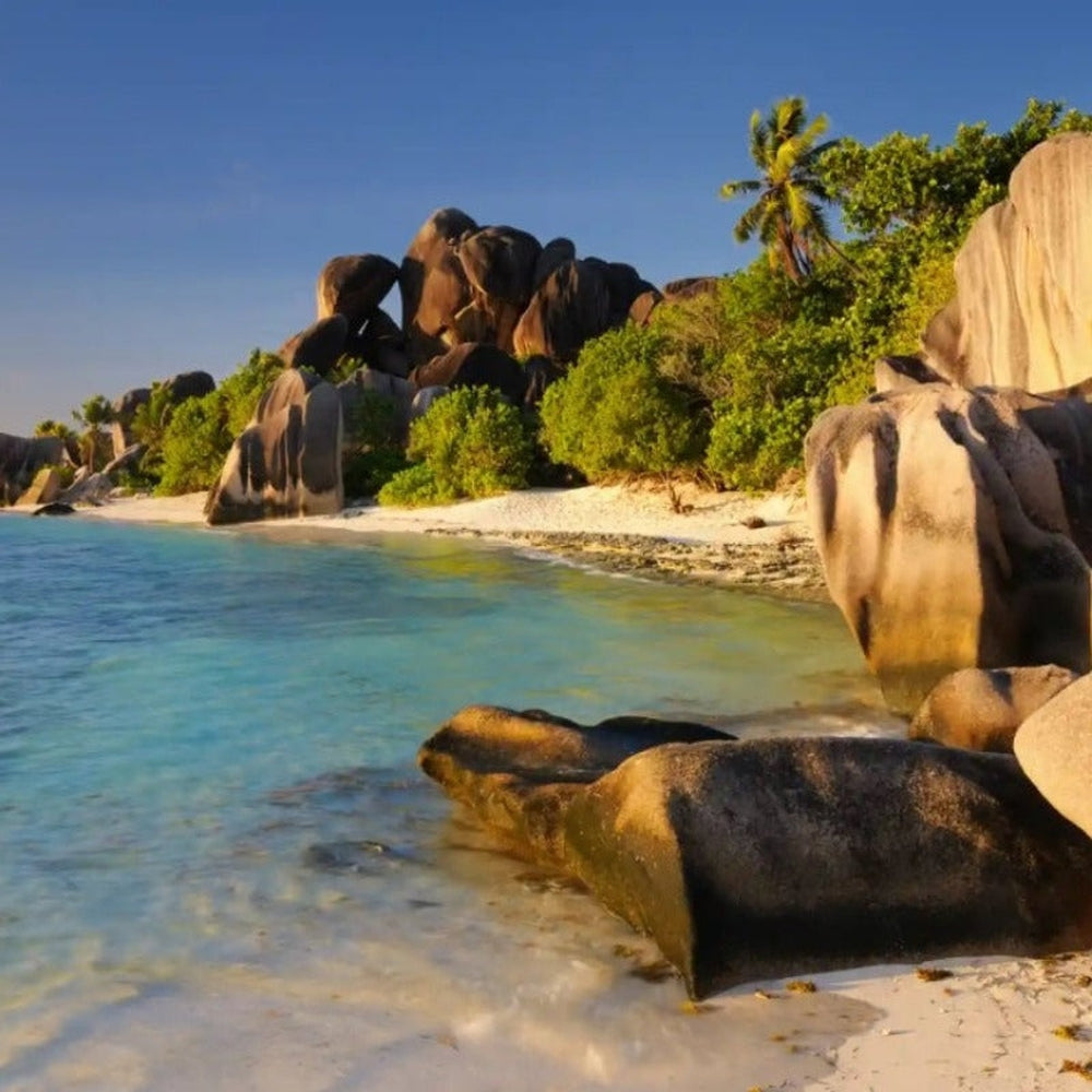 Sluneční brýle Shade OFF Viper