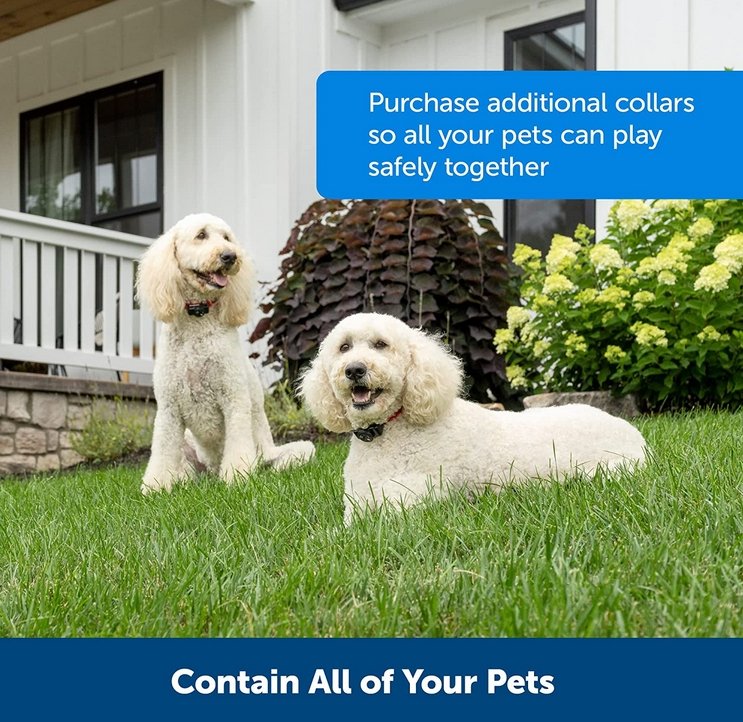 Bezdrátový obojek pro psí plot - Neviditelný a vodotěsný