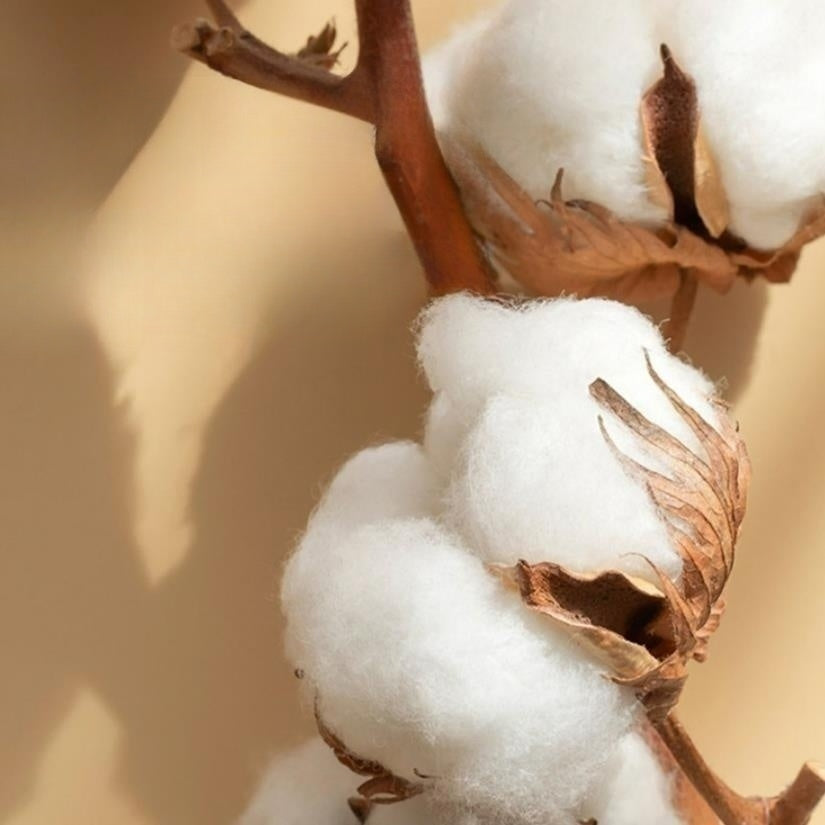 Luxusní saténové bavlněné vyšívané povlečení - 4 díly - LB7